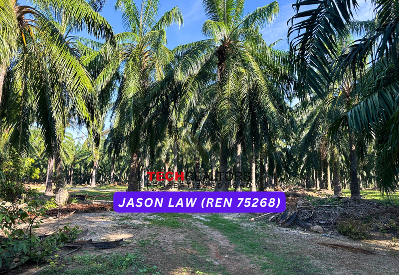 Agriculture Land🌿 RM3.80/sqft | Semeling Bedong Kedah | Under Market Value❗️