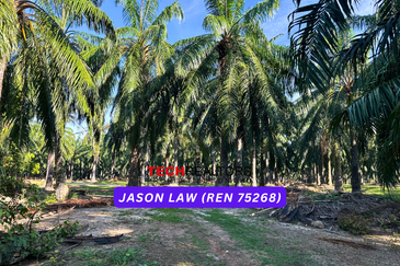 Agriculture Land🌿 RM3.80/sqft | Semeling Bedong Kedah | Under Market Value❗️