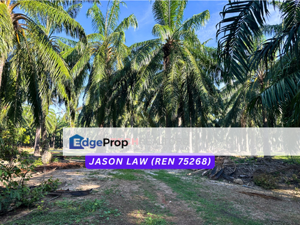 Agriculture Land🌿 RM3.80/sqft | Semeling Bedong Kedah | Under Market Value❗️, Kedah, Bedong