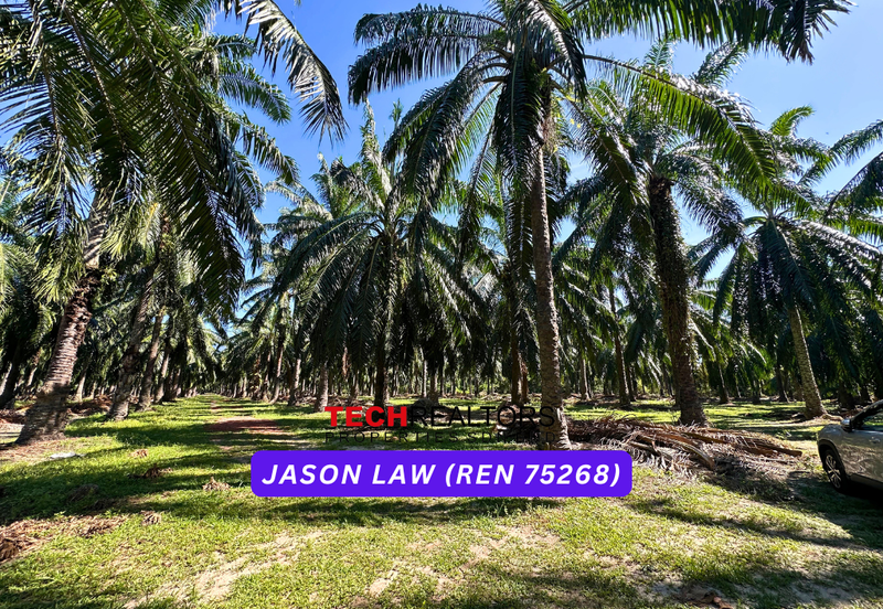 Agriculture Land🌿 RM3.80/sqft | Semeling Bedong Kedah | Under Market Value❗️