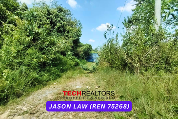 Beside Main Road - Pokok Sena (Kedah) | ~RM8 psf | Agriculture Land 
