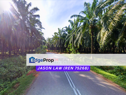 Oil Palm 1,600 Trees (Felda DXP) 🌿 Bukit Selambau Kedah | ~RM4.10 PSF | Agricultural Land, Kedah, Sungai Petani