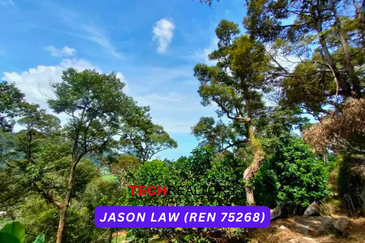 Jalan Balik Pulau / Teluk Kumbar