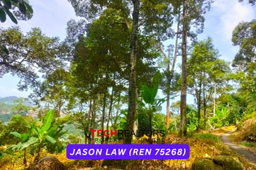 Jalan Balik Pulau / Teluk Kumbar