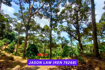 Jalan Balik Pulau / Teluk Kumbar