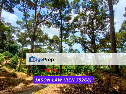 Durian Farm | Sea View | 1,000+ Durian Trees | Teluk Kumbar Penang | RM16 PSF, Penang, Balik Pulau