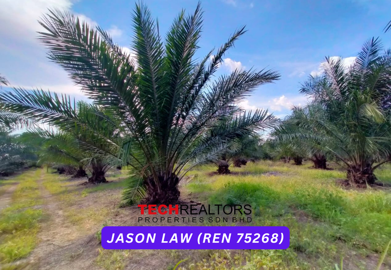 Kampung Baru, Sungai Lalang