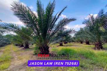 Kampung Baru, Sungai Lalang