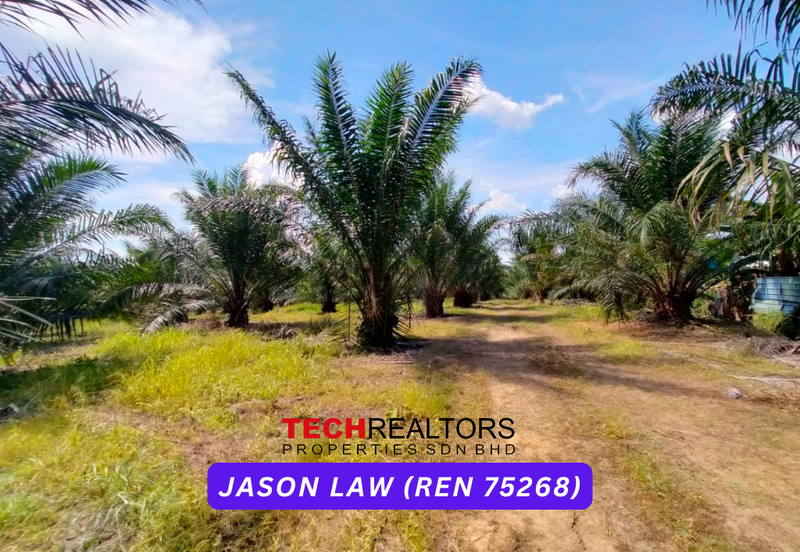 Kampung Baru, Sungai Lalang