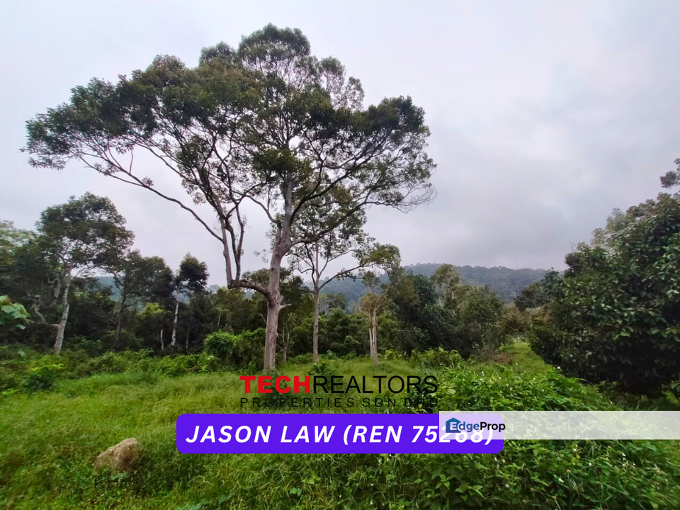 Sea View | Durian Farm | Yan Kedah | Easy Access by 4WD | Rectangle Shaped Land, Kedah, Yan