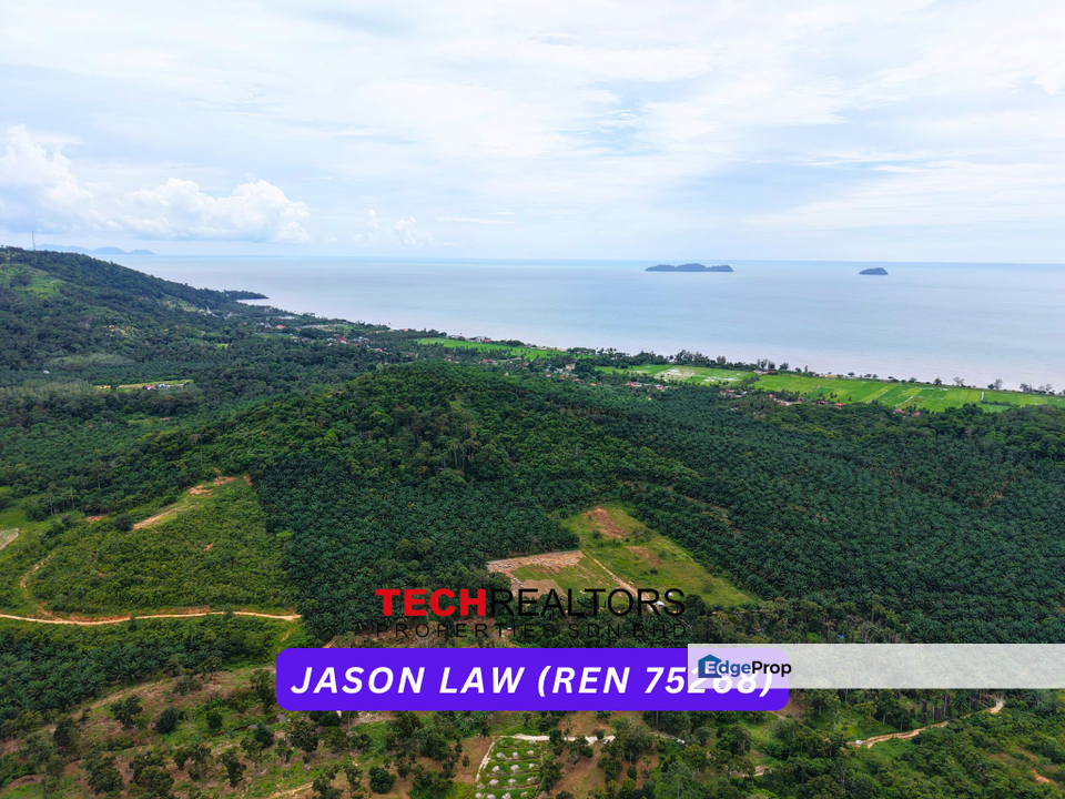 Sea View | Durian Farm | Yan Kedah | Easy Access by 4WD | Rectangle Shaped Land, Kedah, Yan