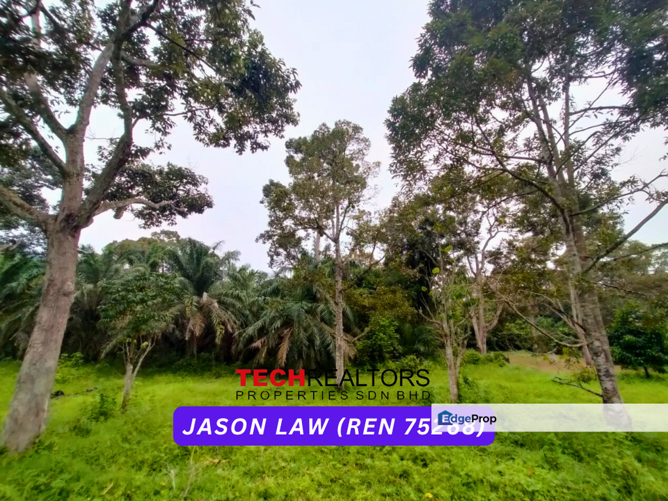 Sea View | Durian Farm | Yan Kedah | Easy Access by 4WD | Rectangle Shaped Land, Kedah, Yan