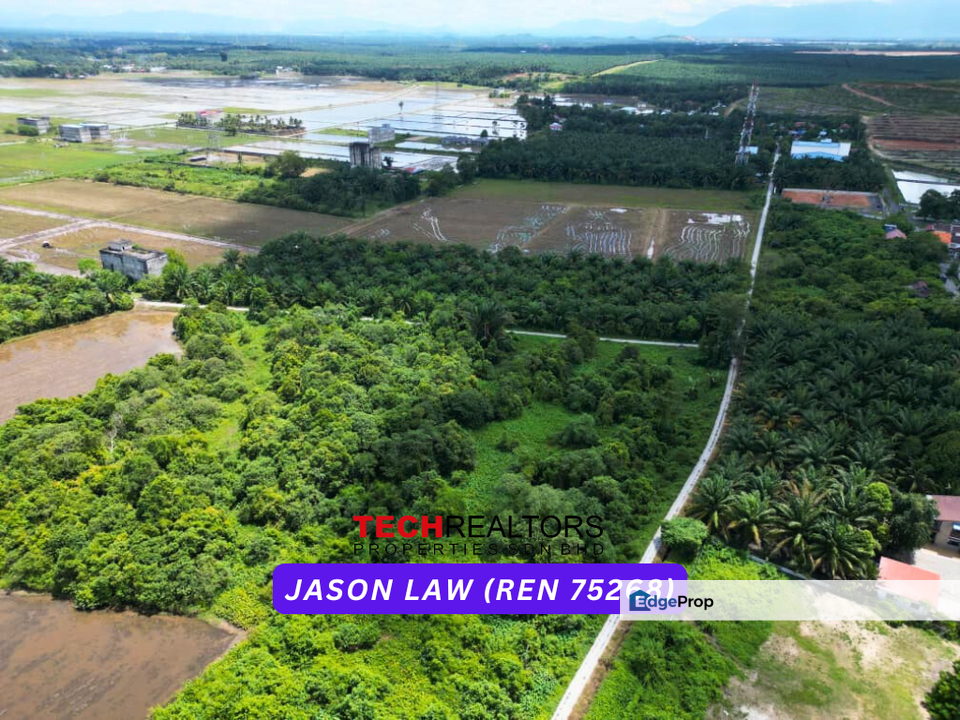 Padang Serai | Palm Oil | Road Reserved | RM4.80 psf |  Karangan | Kedah , Kedah, Kulim