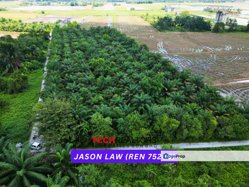 Padang Serai | Palm Oil | Road Reserved | RM4.80 psf |  Karangan | Kedah , Kedah, Kulim