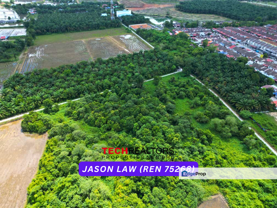 Padang Serai | Palm Oil | Road Reserved | RM4.80 psf |  Karangan | Kedah , Kedah, Kulim