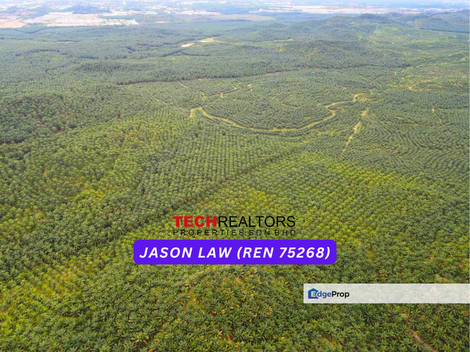 15 Years Oil Palm Land | Sungai Petani Near Bukit Selambau | ~Rm4.10 PSF | Agriculture Land, Kedah, Sungai Petani