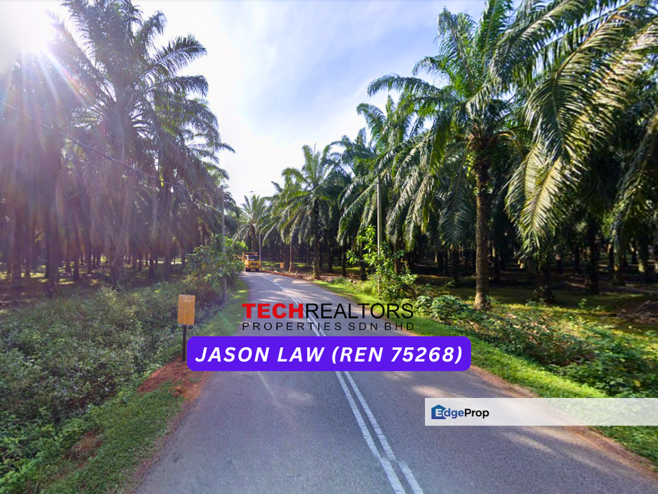 15 Years Oil Palm Land | Sungai Petani Near Bukit Selambau | ~Rm4.10 PSF | Agriculture Land, Kedah, Sungai Petani