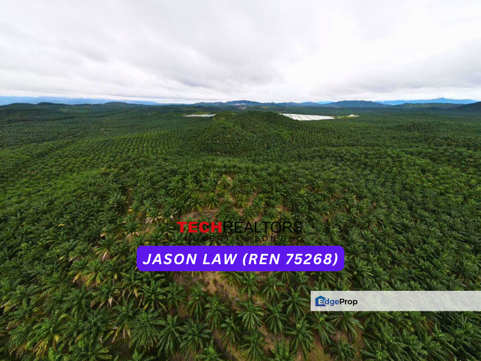 15 Years Oil Palm Land | Sungai Petani Near Bukit Selambau | ~Rm4.10 PSF | Agriculture Land, Kedah, Sungai Petani