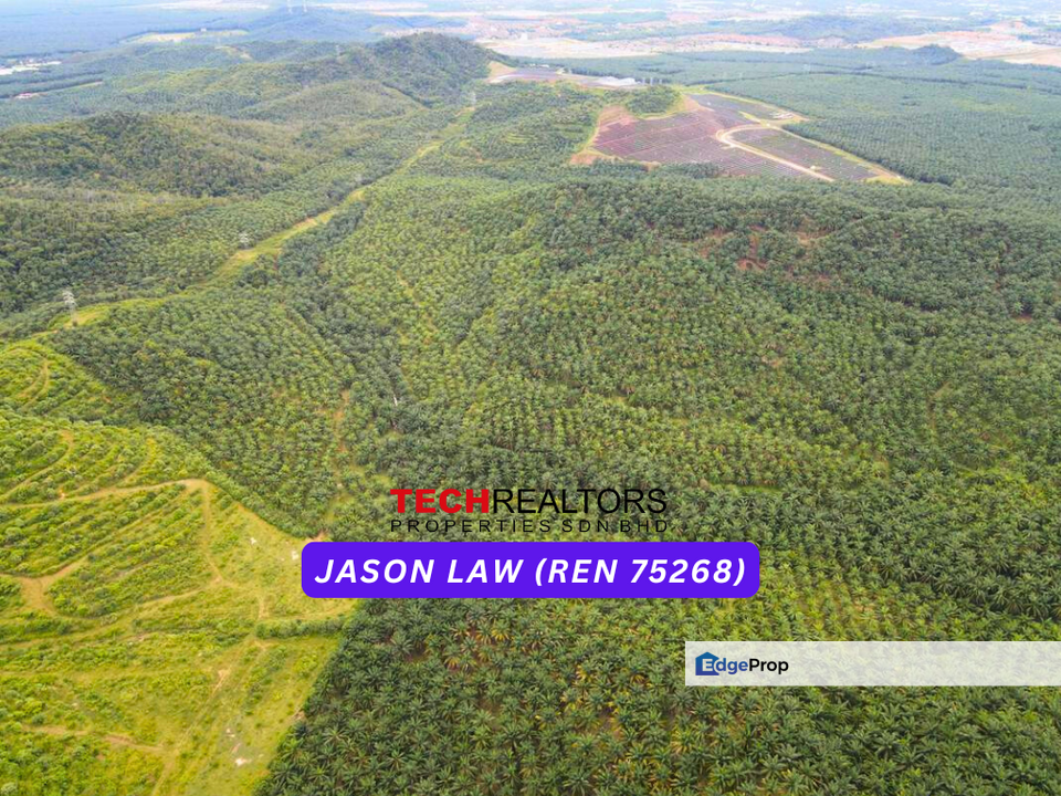 15 Years Oil Palm Land | Sungai Petani Near Bukit Selambau | ~Rm4.10 PSF | Agriculture Land, Kedah, Sungai Petani