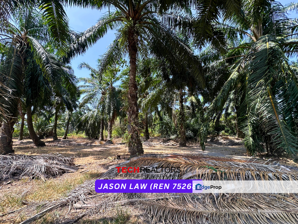 Kampung Selamat | Industrial Land - Beside Road | Only ~RM35 PSF | Tasek Gelugor Pulau Pinang, Penang, Tasek Gelugor