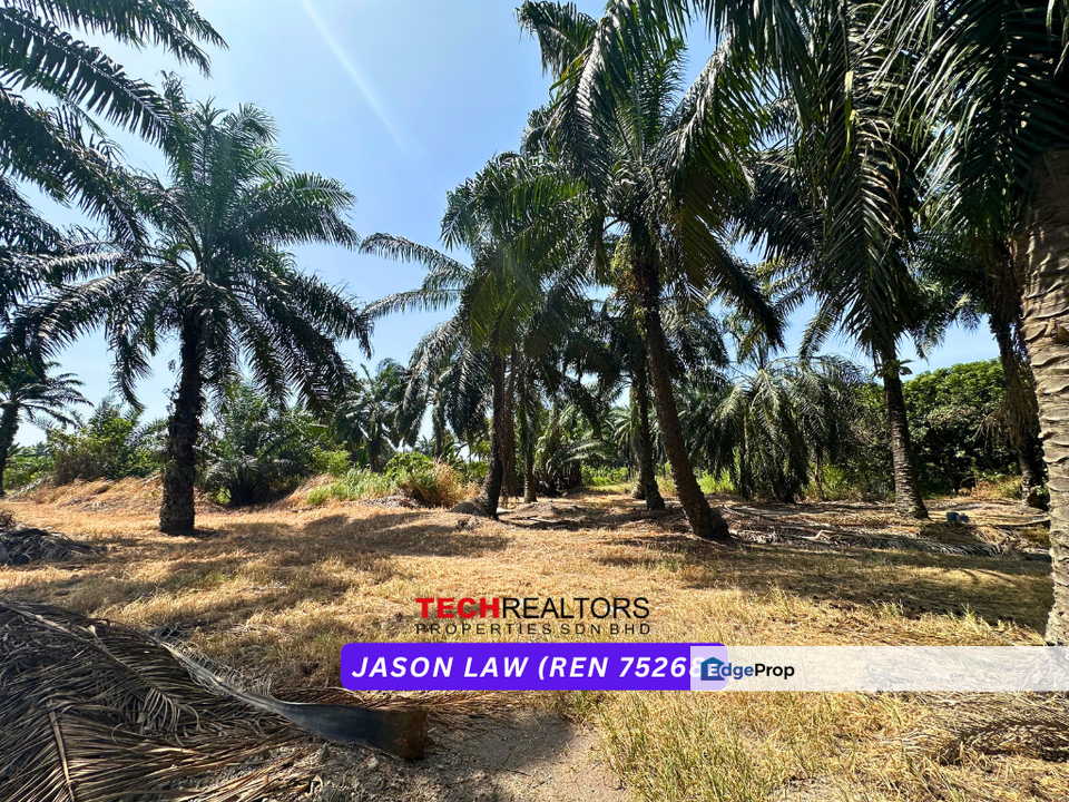 Kampung Selamat | Industrial Land - Beside Road | Only ~RM35 PSF | Tasek Gelugor Pulau Pinang, Penang, Tasek Gelugor