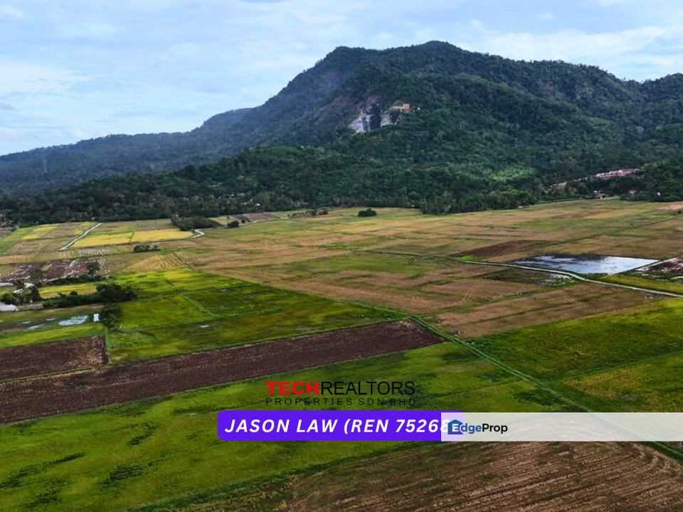 Agriculture Land ( Bendang ) | RM2.20 per sqft | Singkir | Yan Kedah, Kedah, Yan