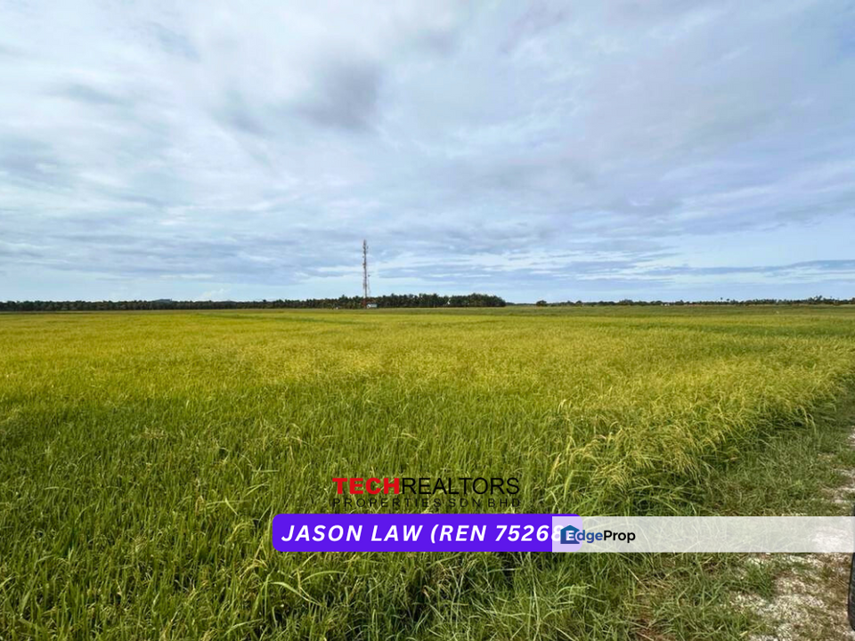 Agriculture Land ( Bendang ) | RM2.20 per sqft | Singkir | Yan Kedah, Kedah, Yan