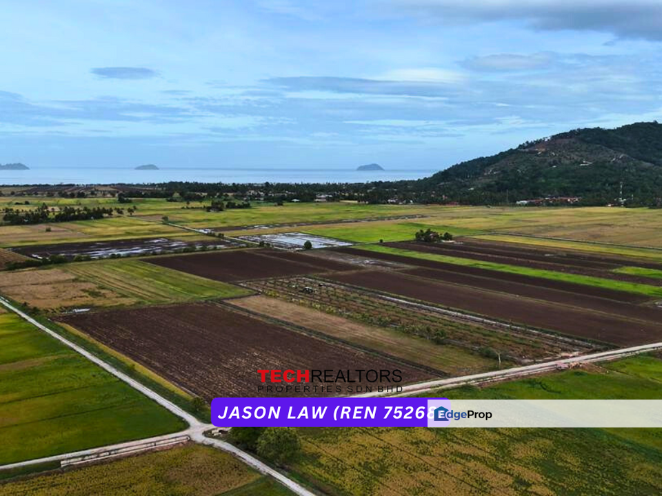 Agriculture Land ( Bendang ) | RM2.20 per sqft | Singkir | Yan Kedah, Kedah, Yan