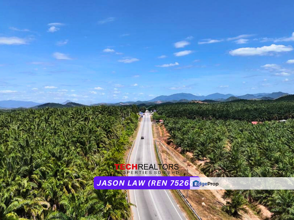 Facing Main Road  | Agriculture Land ( Oil Palm Kelapa Sawit ) | Near Padang Meha Kedah | RM5.50 per sqft, Kedah, Karangan