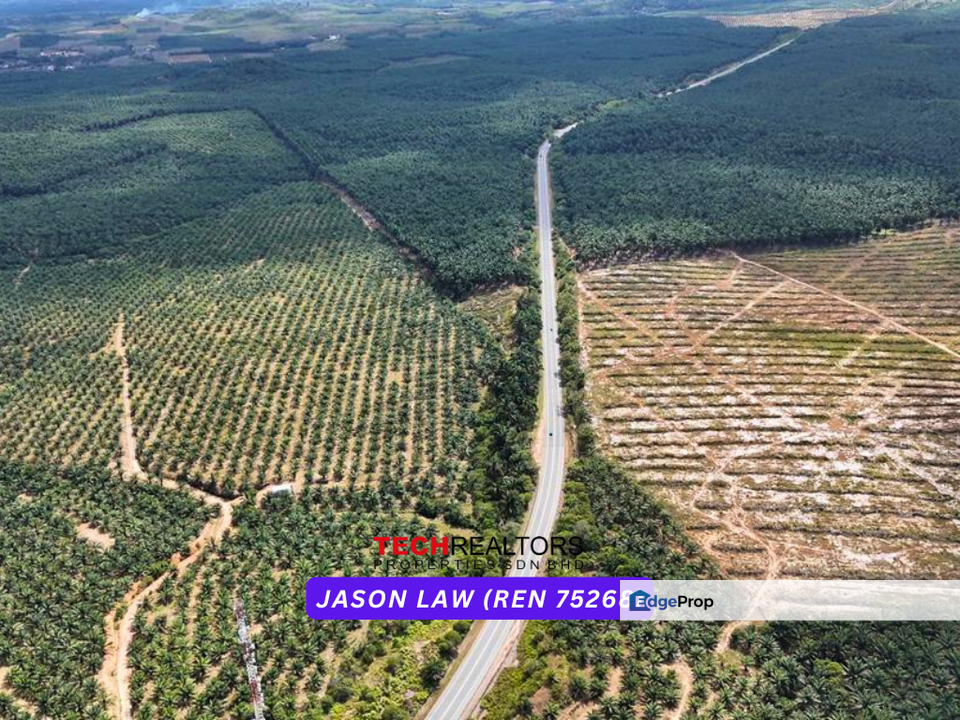 Facing Main Road  | Agriculture Land ( Oil Palm Kelapa Sawit ) | Near Padang Meha Kedah | RM5.50 per sqft, Kedah, Karangan