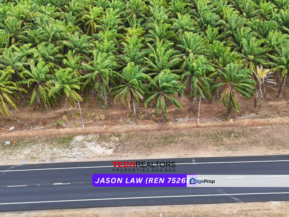 Facing Main Road | Agriculture Land ( Tanah Pertanian ) | Near To Pekan | Pokon Sena Kedah, Kedah, Pokok Sena