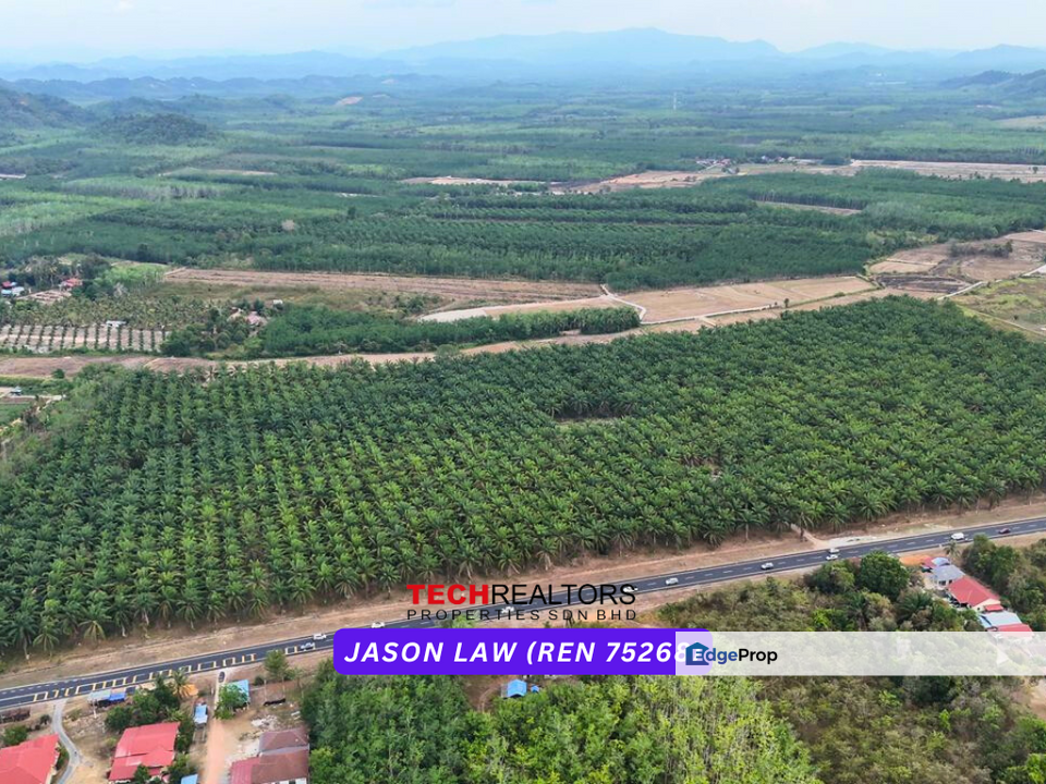 Facing Main Road | Agriculture Land ( Tanah Pertanian ) | Near To Pekan | Pokon Sena Kedah, Kedah, Pokok Sena