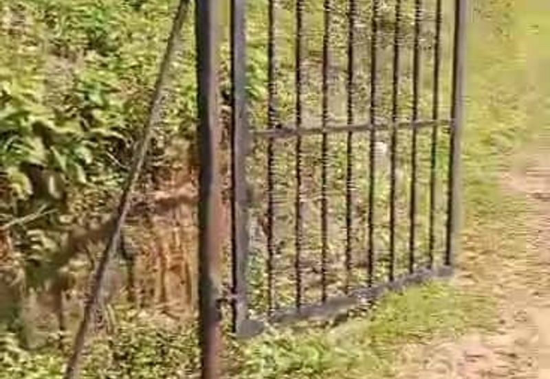 TANAH PERTANIAN KAMPONG PIONG, SLIM VILLAGE, PERAK