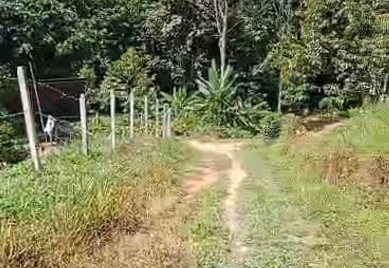 TANAH PERTANIAN KAMPONG PIONG, SLIM VILLAGE, PERAK