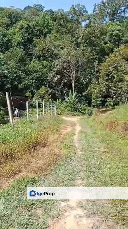 TANAH PERTANIAN KAMPONG PIONG, SLIM VILLAGE, PERAK, Perak, Slim River