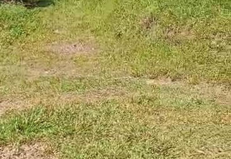 TANAH PERTANIAN KAMPONG PIONG, SLIM VILLAGE, PERAK