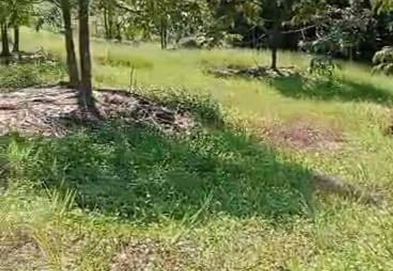 TANAH PERTANIAN KAMPONG PIONG, SLIM VILLAGE, PERAK