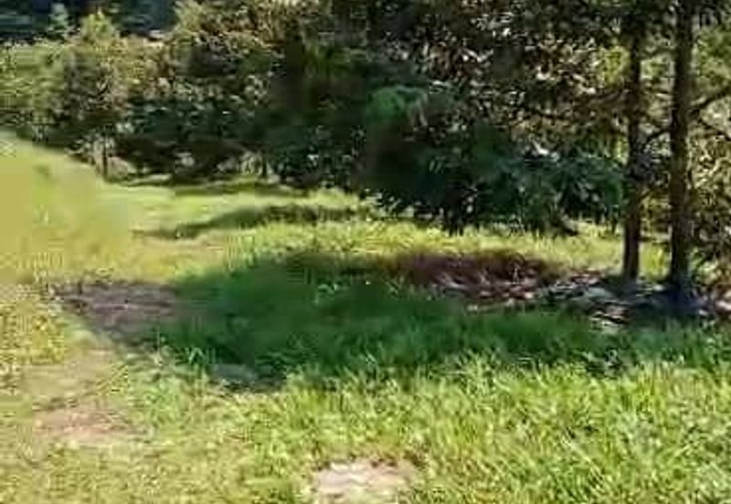 TANAH PERTANIAN KAMPONG PIONG, SLIM VILLAGE, PERAK