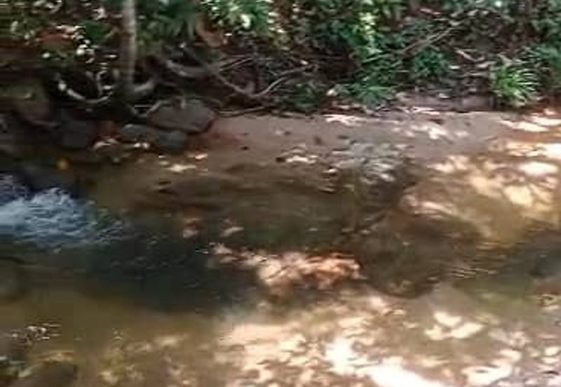 TANAH PERTANIAN KAMPONG PIONG, SLIM VILLAGE, PERAK