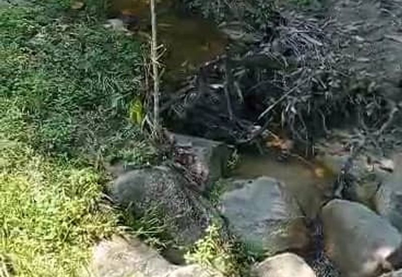 TANAH PERTANIAN KAMPONG PIONG, SLIM VILLAGE, PERAK