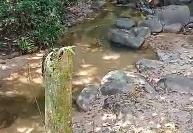 TANAH PERTANIAN KAMPONG PIONG, SLIM VILLAGE, PERAK