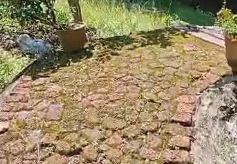 TANAH PERTANIAN KAMPONG PIONG, SLIM VILLAGE, PERAK