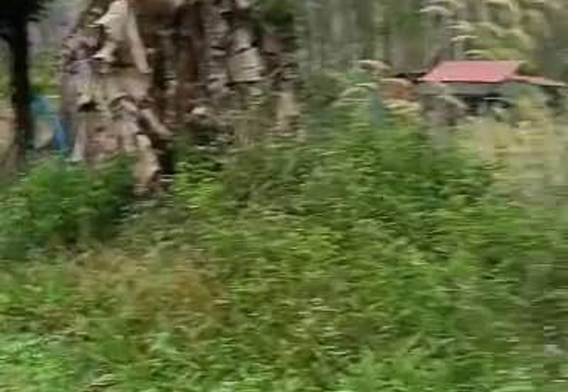 TANAH PERTANIAN KAMPONG PIONG, SLIM VILLAGE, PERAK