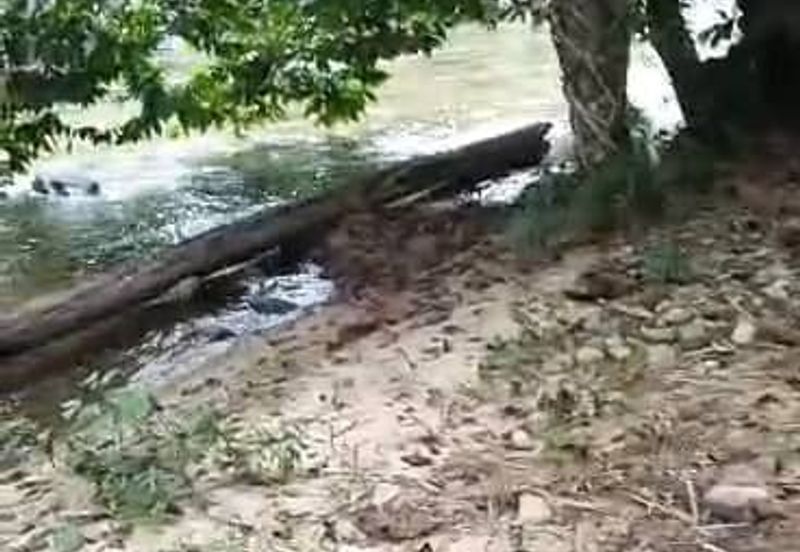 TANAH PERTANIAN KAMPONG PIONG, SLIM VILLAGE, PERAK