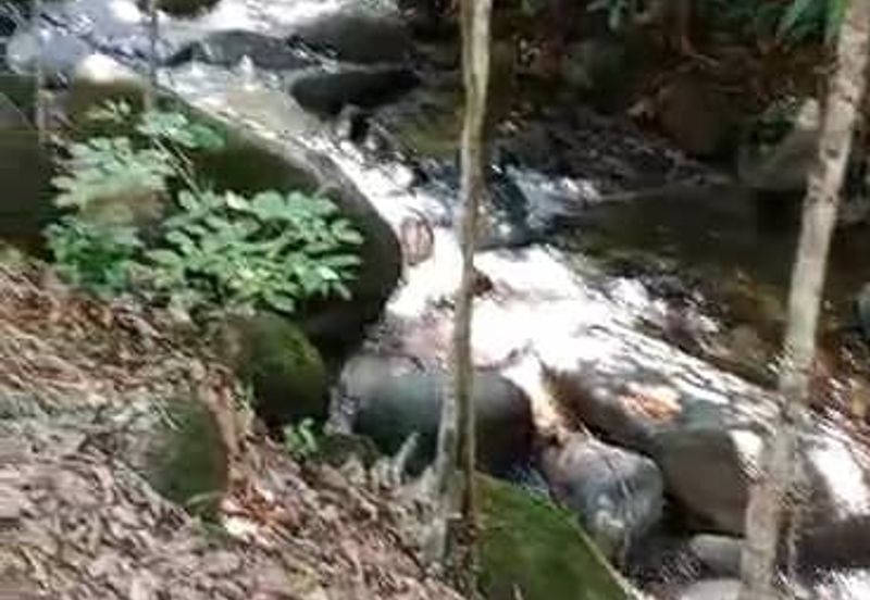 TANAH PERTANIAN KAMPONG PIONG, SLIM VILLAGE, PERAK