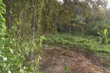 Tanah Pertanian Untuk Dijual Di Slim River, Perak