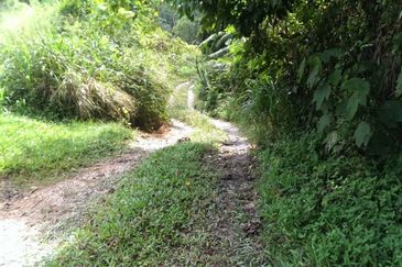 Tanah Pertanian Untuk Dijual Di Slim River, Perak