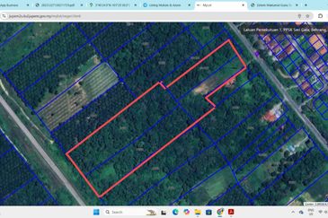 Tanah Pertanian Untuk Dijual Di Slim River, Perak