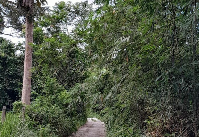 TANAH PERTANIAN UTUK DIJUAL DI BATANGKALI, RAWANG, SELANGOR