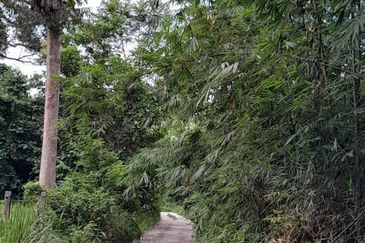 TANAH PERTANIAN UTUK DIJUAL DI BATANGKALI, RAWANG, SELANGOR